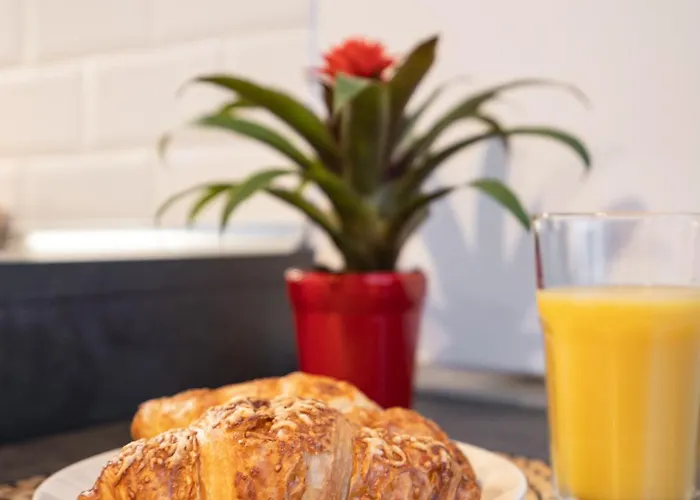 West Nest Apartament